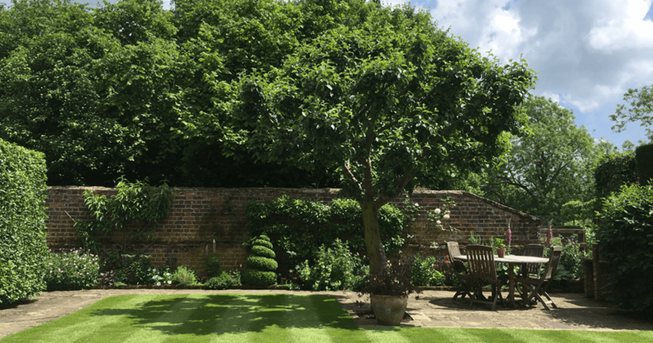 Cottage Garden | Structured Growth