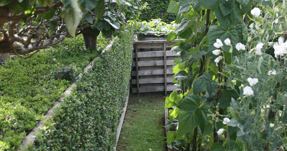 Cottage Garden | Structured Growth