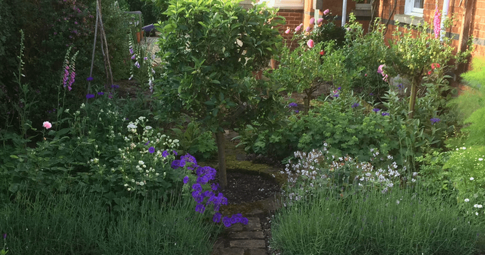 Cottage Garden | Structured Growth