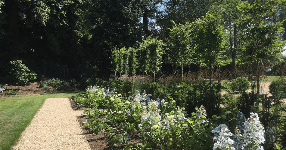 Manor House Garden | Structured Growth