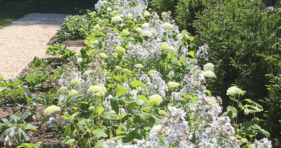 Manor House Garden | Structured Growth