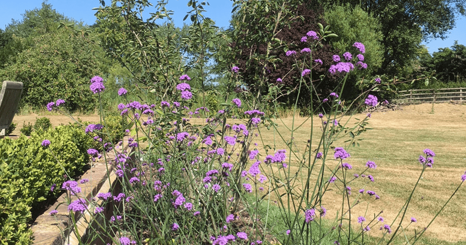 Manor House Garden | Structured Growth