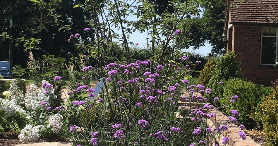 Manor House Garden | Structured Growth