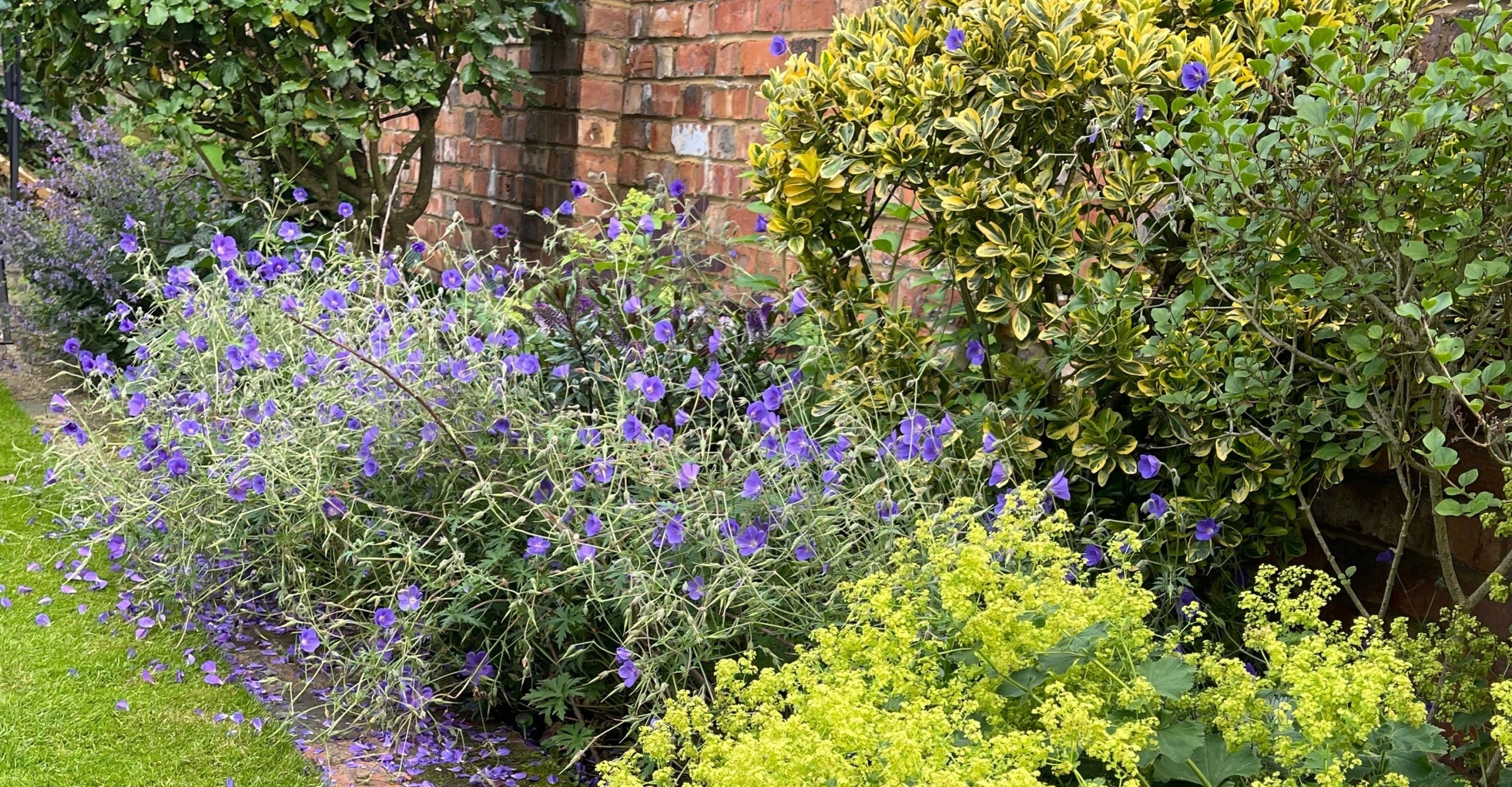 Cottage Garden | Structured Growth