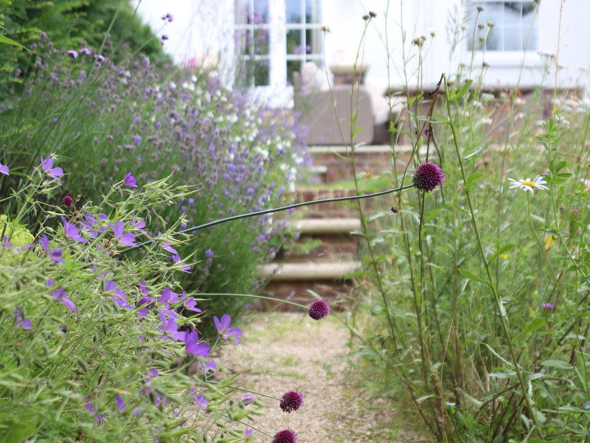 Georgian Town House Garden | Structured Growth