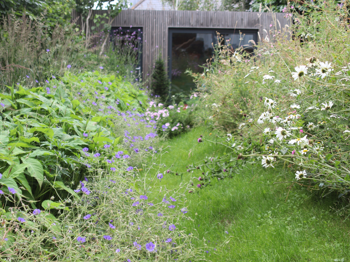 Georgian Town House Garden | Structured Growth