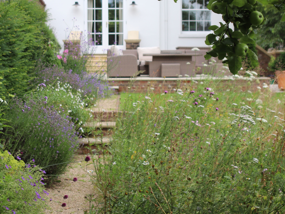 Georgian Town House Garden | Structured Growth