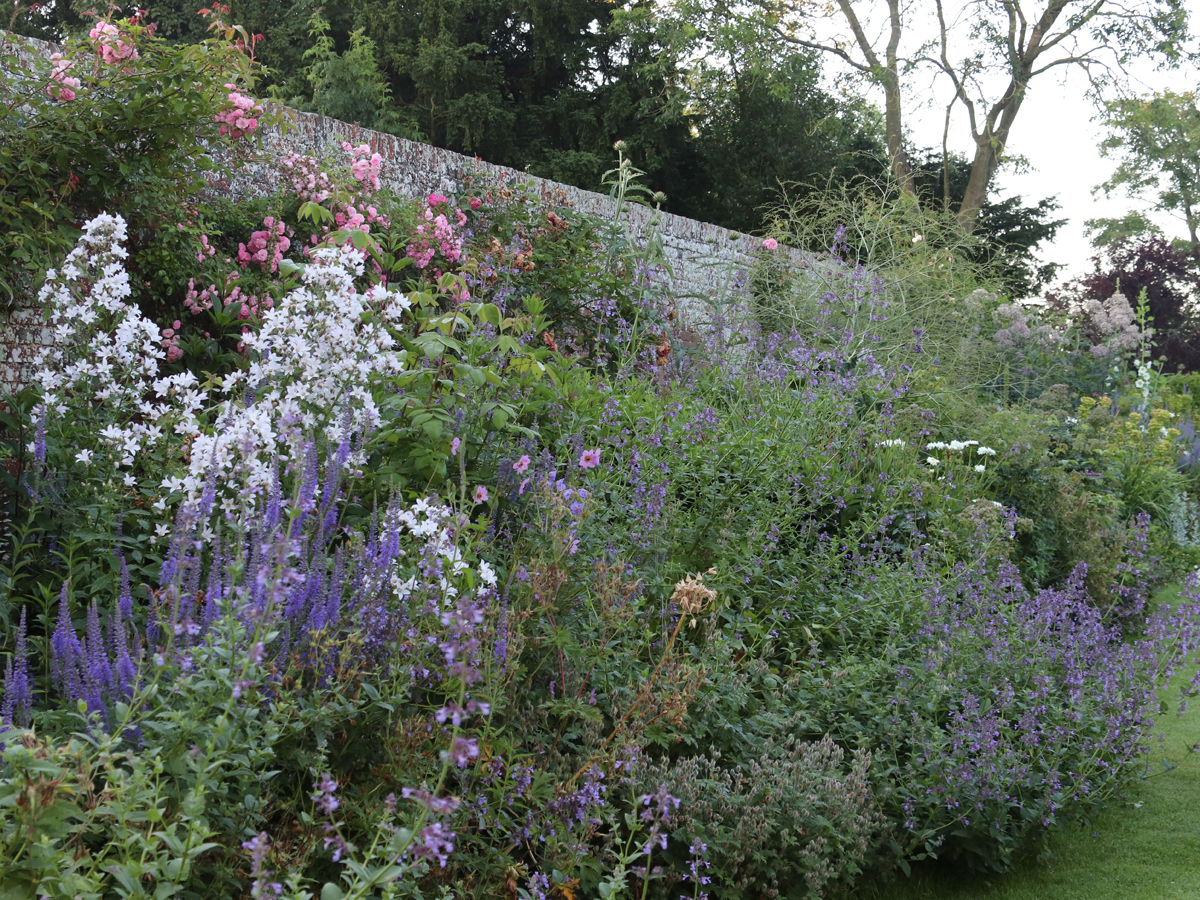 Old Rectory Garden | Structured Growth