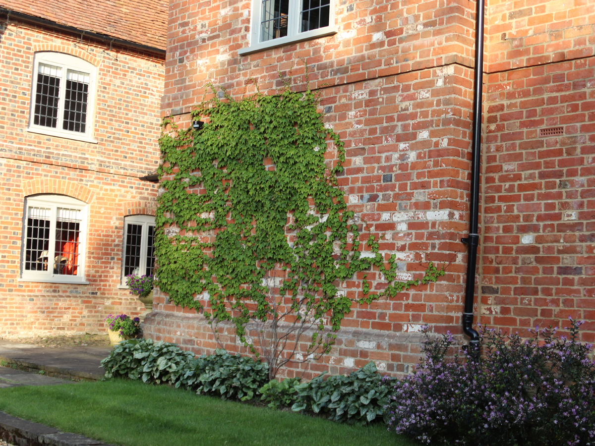 Old Rectory Garden | Structured Growth