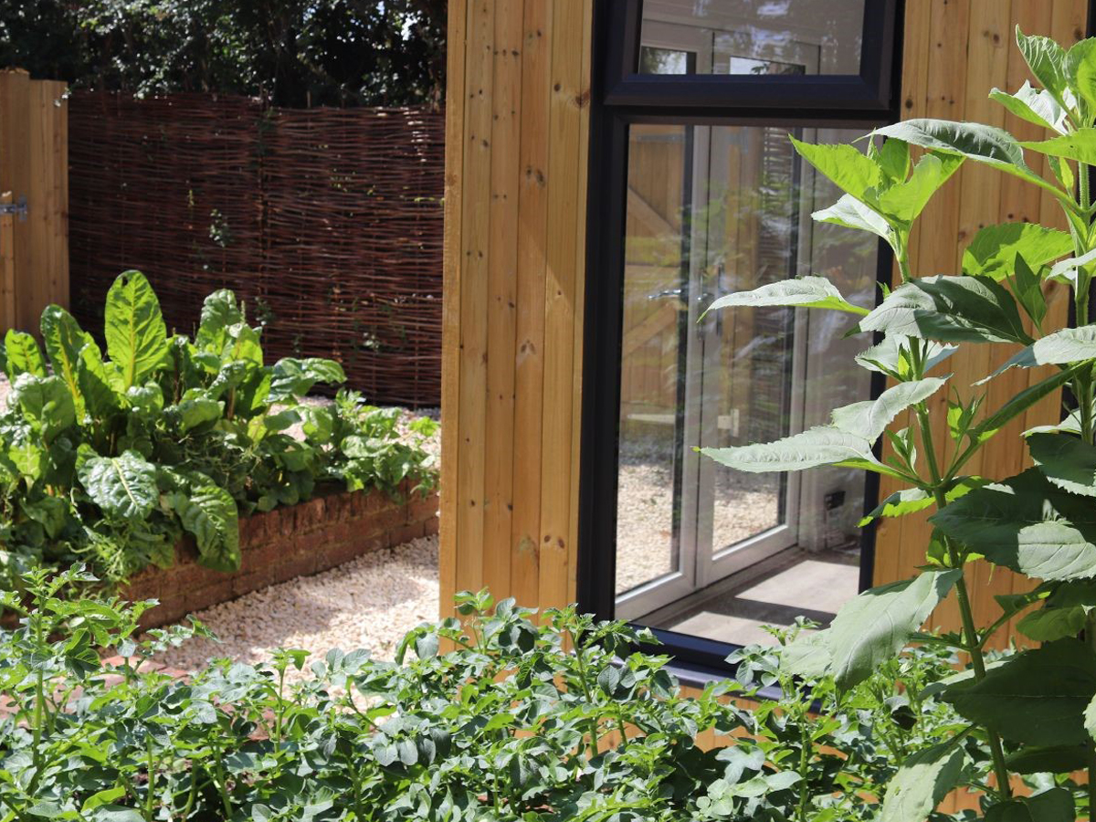 Oxfordshire Courtyard Garden | Structured Growth